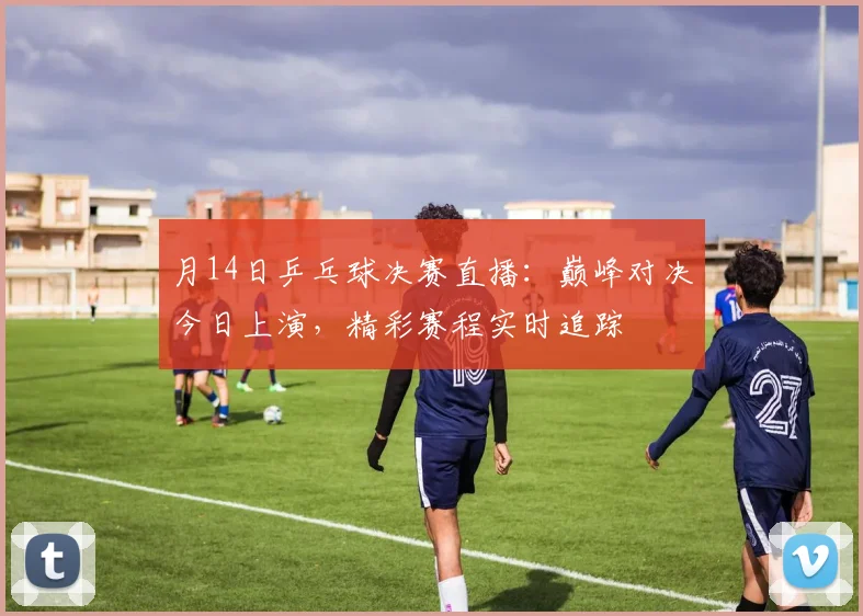 月14日乒乓球决赛直播：巅峰对决今日上演，精彩赛程实时追踪
